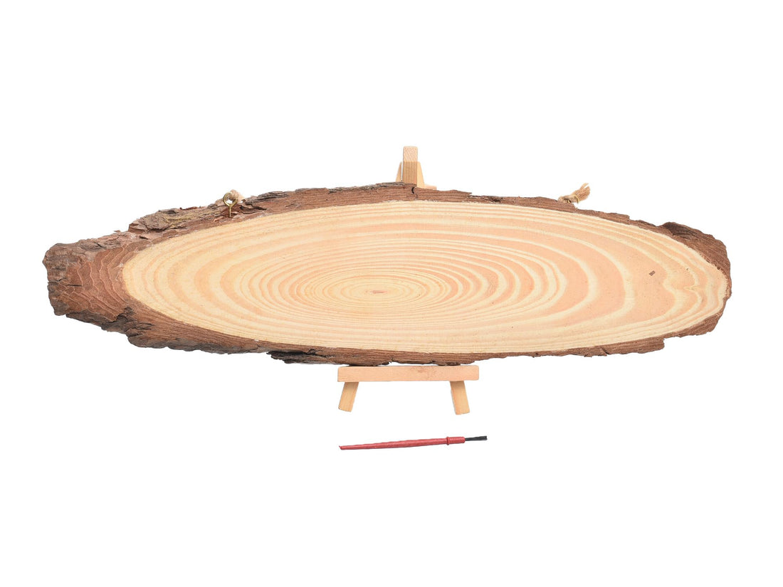 Elmaayergy Educational Supplies With Tree Trunk Shape With Durable Material, Suitable For School And Home