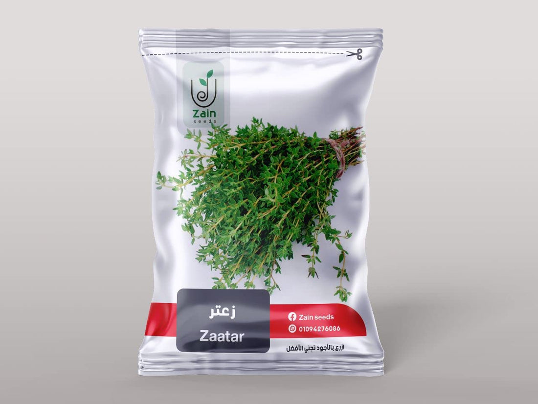 بذور زعتر من زين سيدز