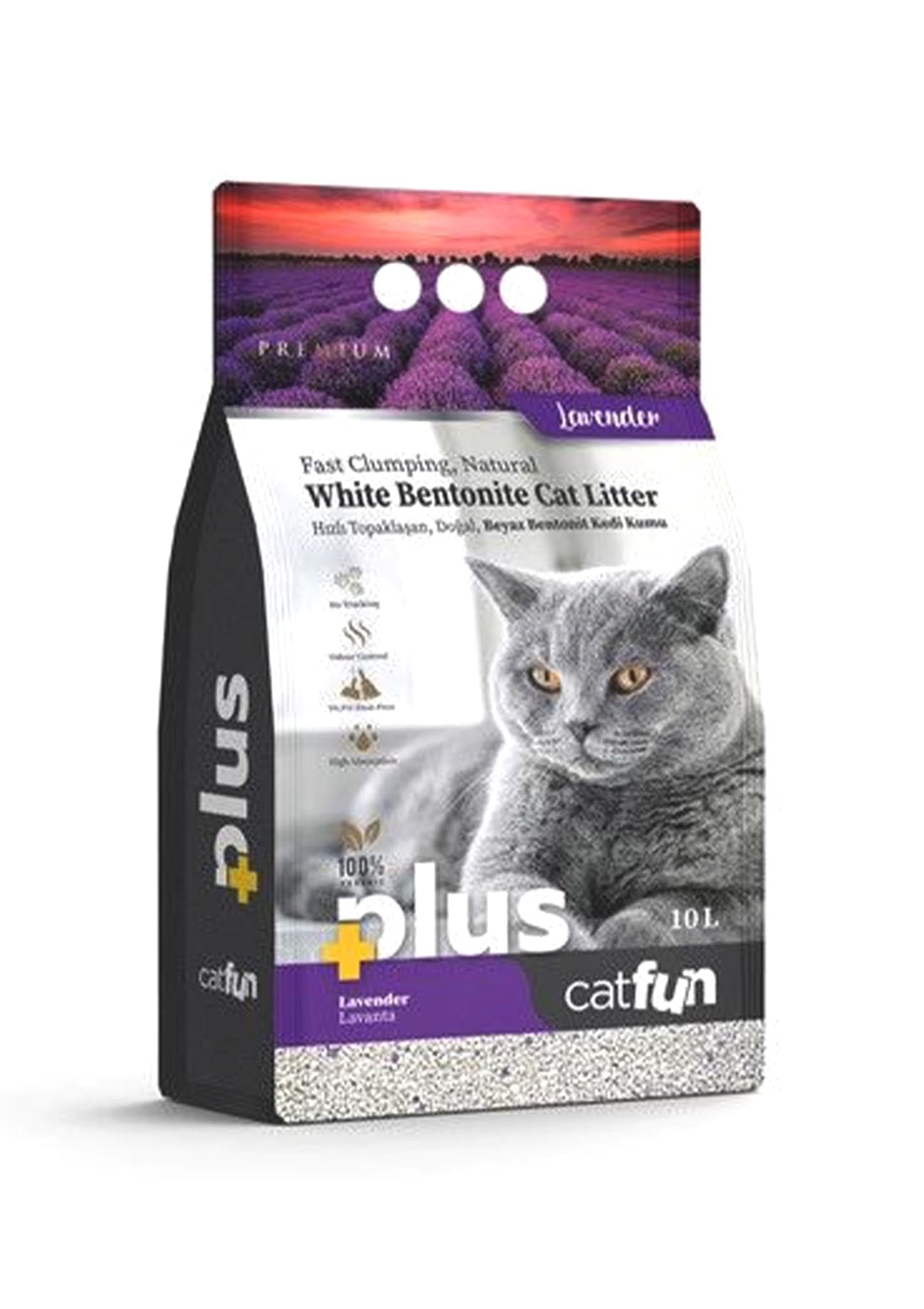 10 LT Lavender