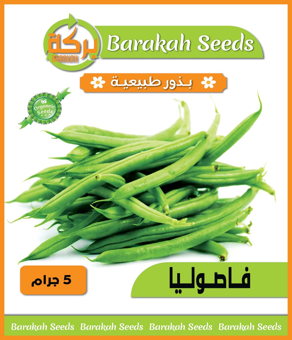 High Germination Vegetable Seeds for Plant (Beans, Organic, 1)