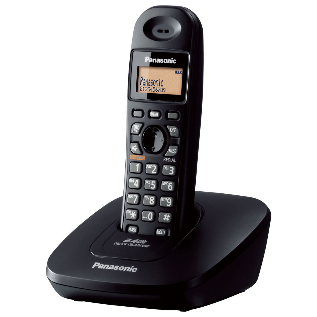 Panasonic