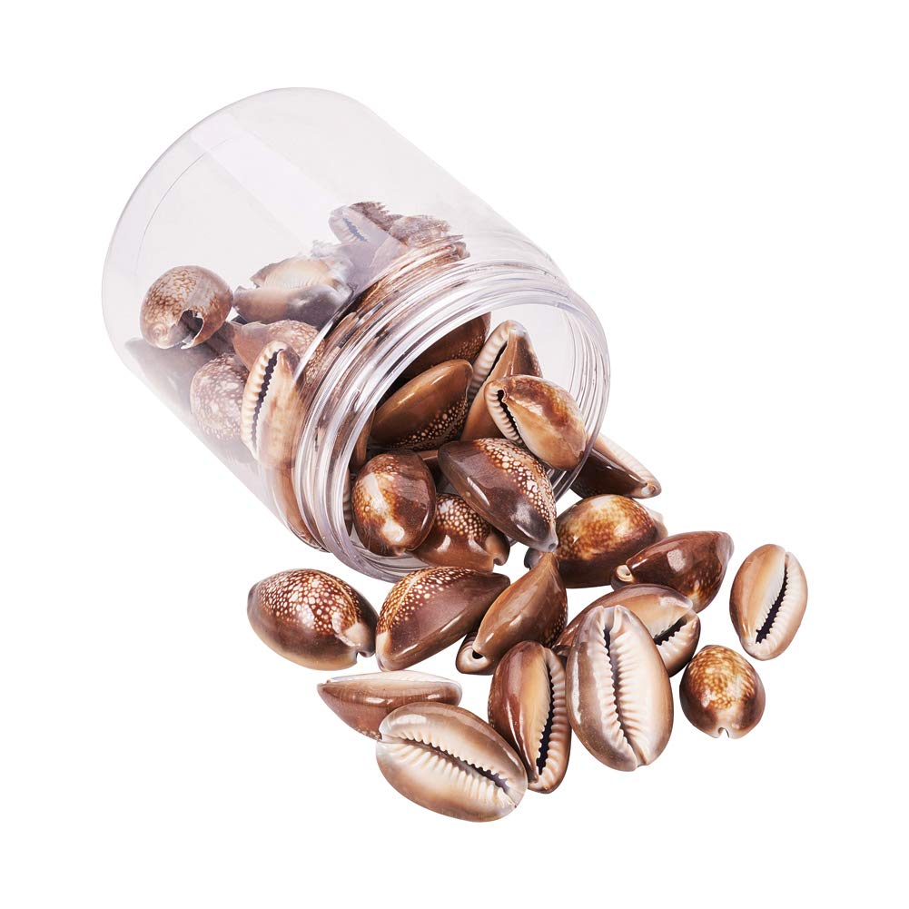 PH PandaHall 36 pcs Tiny Cowrie Sea Shells Oval Ocean Beach Spiral Seashells Craft Charms Length 25-32mm Candle Making Home Decoration Party Wedding Decor Fish Tank Vase Filler(No Hole)