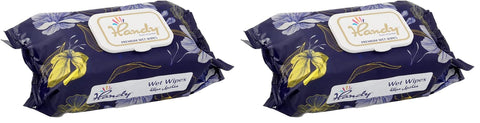 Handy premium refreshing wet wipes, 120 wipes (Pack of 2)