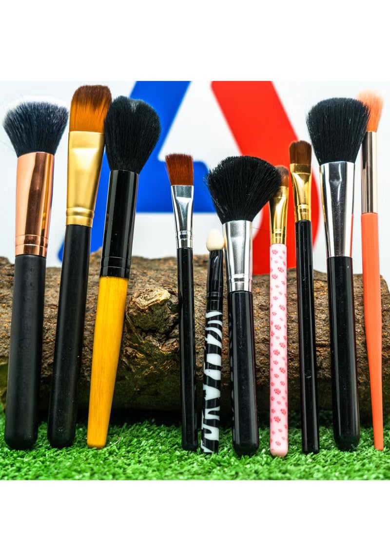 Professional Makeup Brush Set, 10 Pieces, Mixed Bristle Types, Multi-Coloured Handles