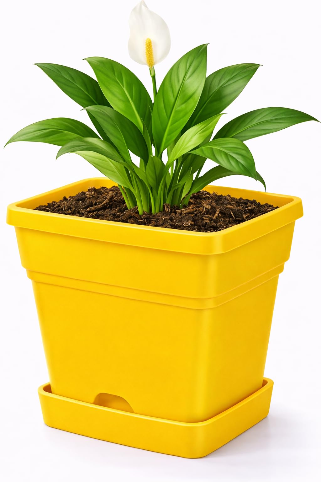 25 cm Square Plastic Plant Pot with Drainage Tray – Modern Indoor Outdoor Planter – Durable Flower Pot for Home, Balcony and Garden (Yellow)
