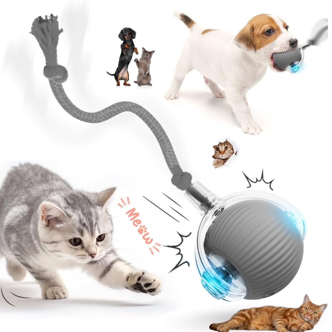Interactive Cat/Interactive Dog Ball Toy, Pet's Toys for Indoor Cats/Dogs,Cat Rotating Ball Toy,Automatic Moving pet's Balls,360°Automatic Rolling Ball,Electric/Rechargeable,Motion activiated (Grey)