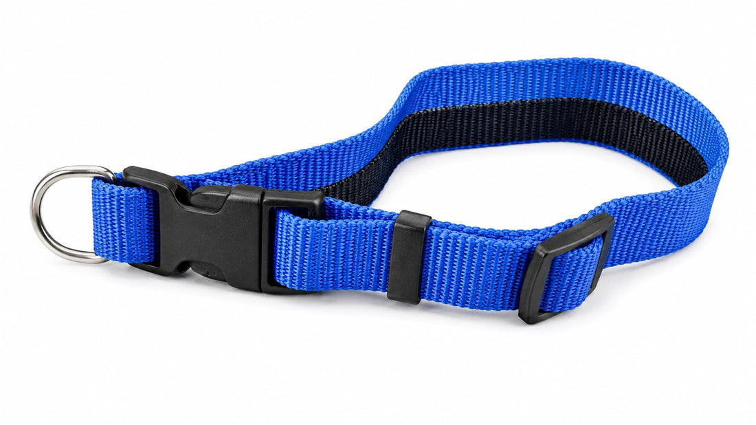Adjustable Nylon Dog Collar with Quick-Release Buckle and D-Ring, Blue, Large