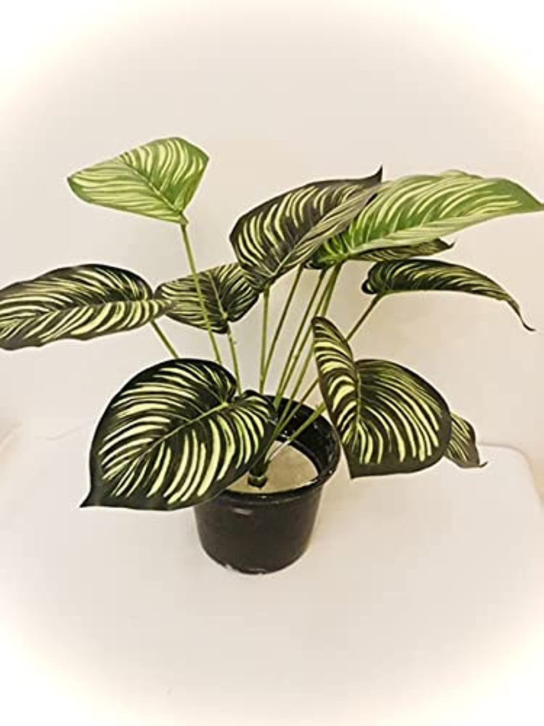 GENERIC Artificial Plant, 50cm Tall, Green, Upright Fern, Polyurethane, Indoor, 1 Count