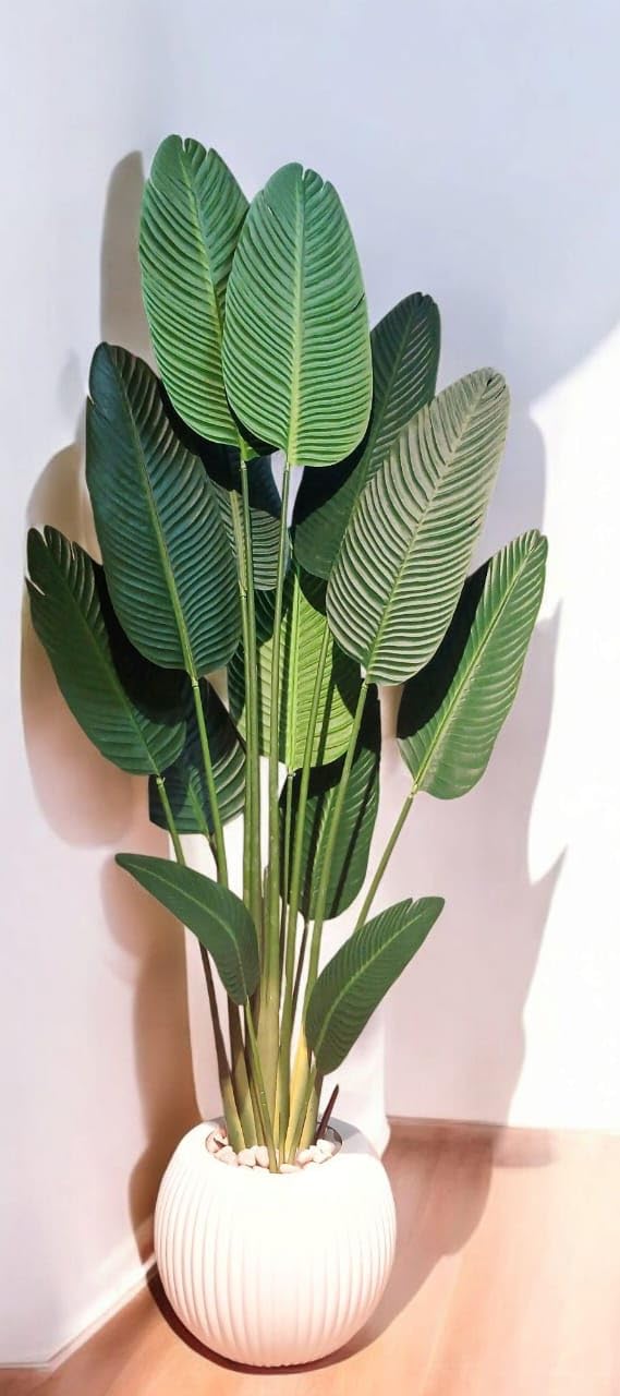 Artificial Banana Plant, 13 Green Leaves, with White Acrylic Pot, 2m Height, Home and Office Decor