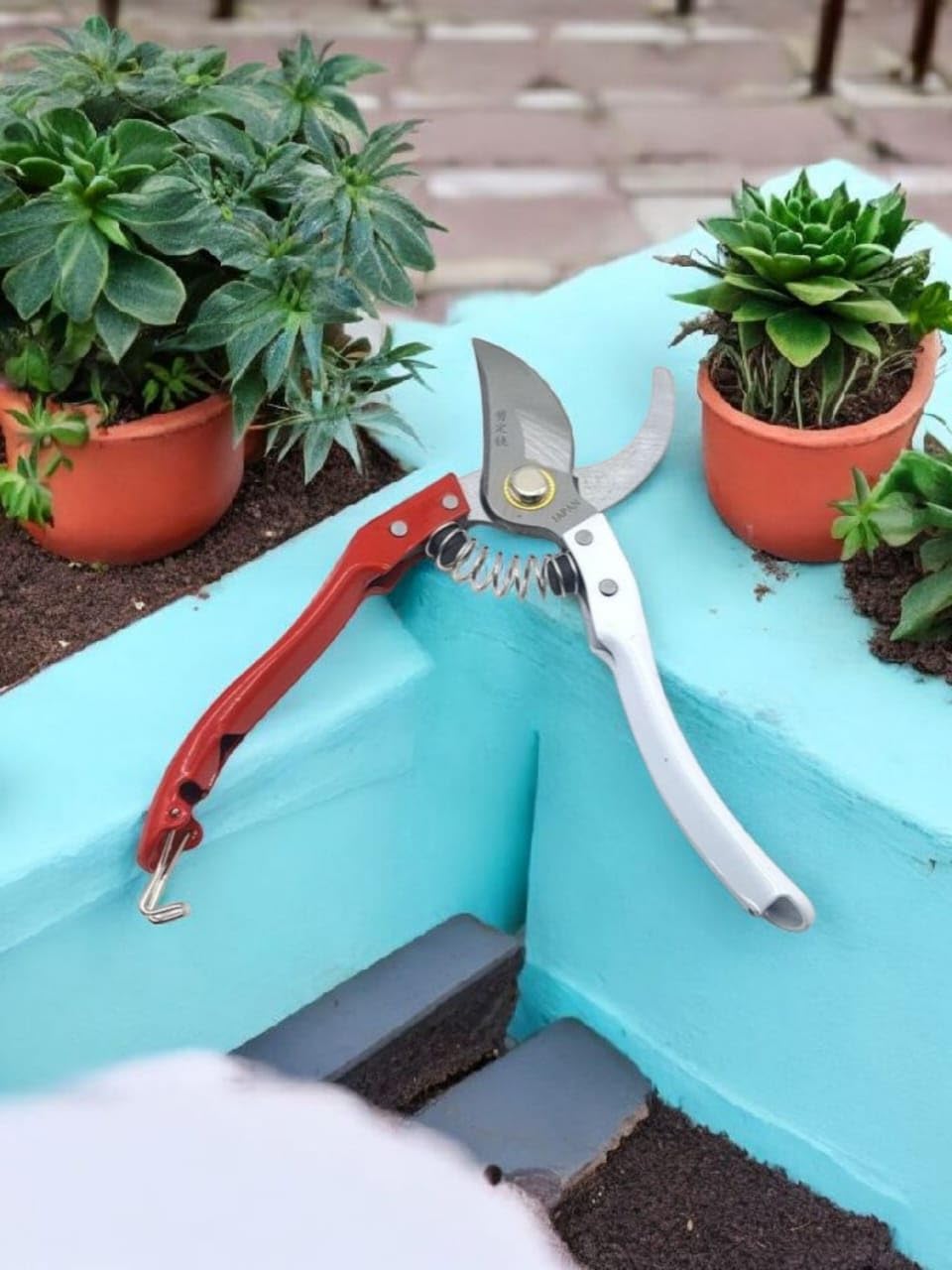 Professional Garden Pruning Shears, Red and Silver, Ergonomic Handle, for Small Plants and Trees, Stainless Steel