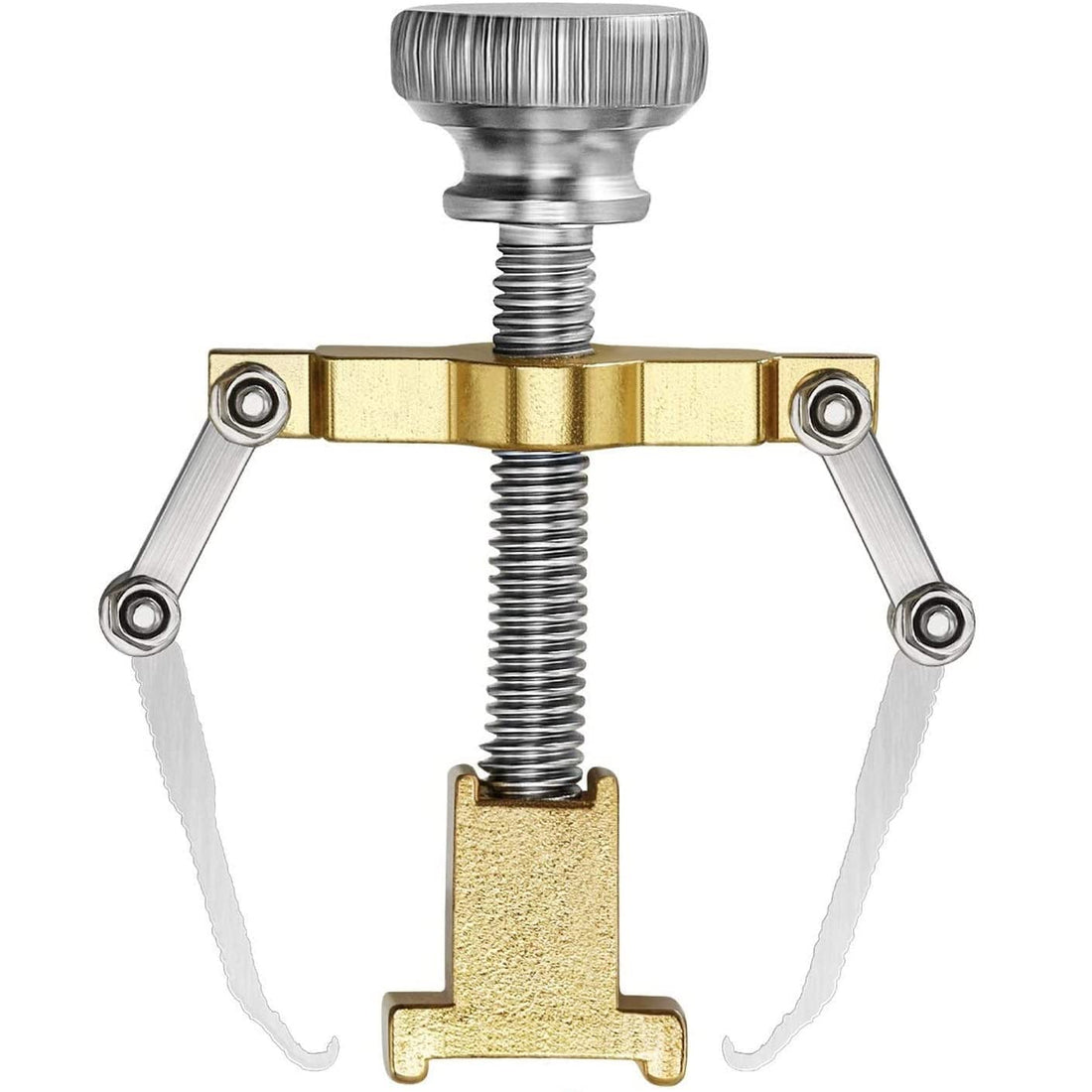 Ingrown Toenail Lifter, Ingrown Toenail Lifter, Stainless Steel Foot Care Tool for Paronychia (Gold)