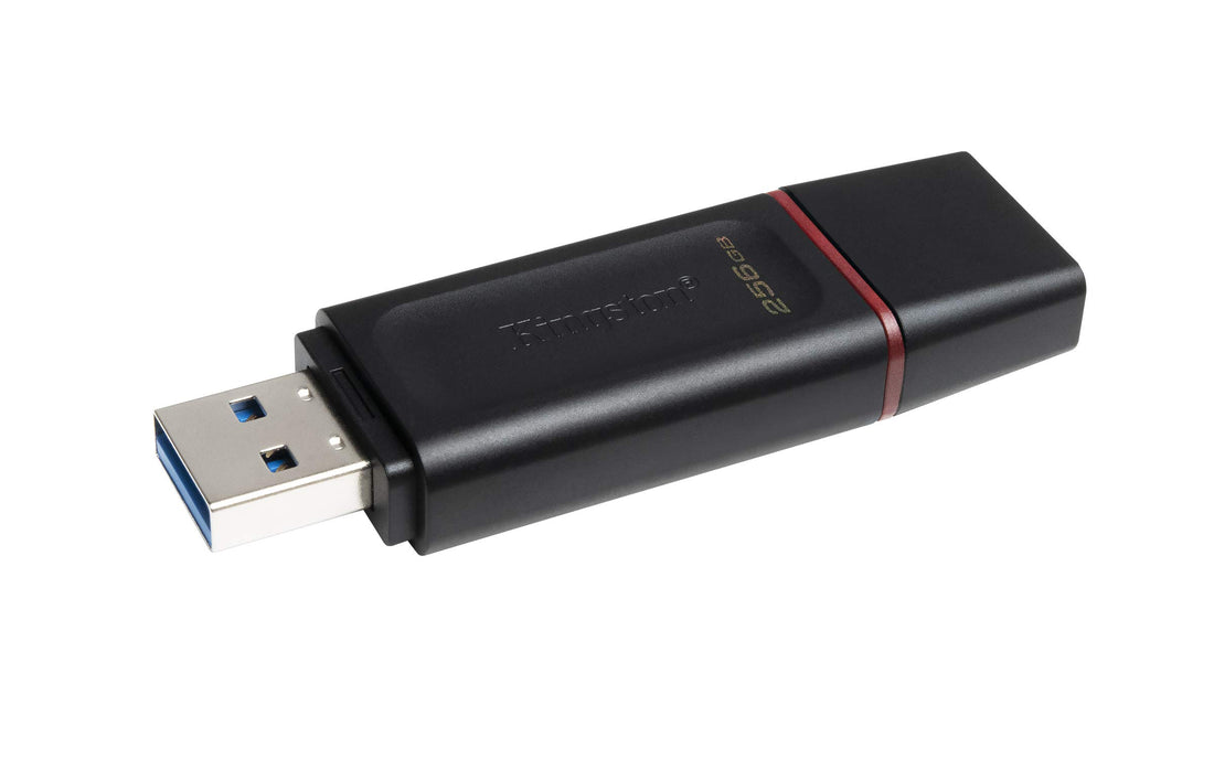 Kingston DataTraveler Exodia 256GB USB 3.2 Flash Drive DTX/256GB