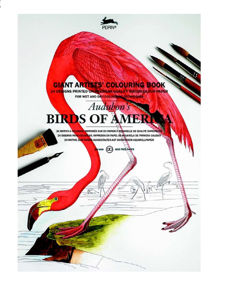 Birds of America: Giant Artists´Colouring Book / A3 Kuenstler Malbuch