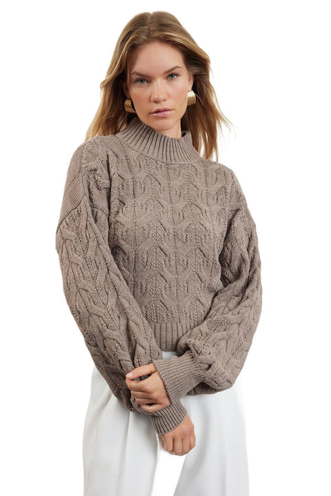Trendyol Womens Sweater Sweater (pack of 1)