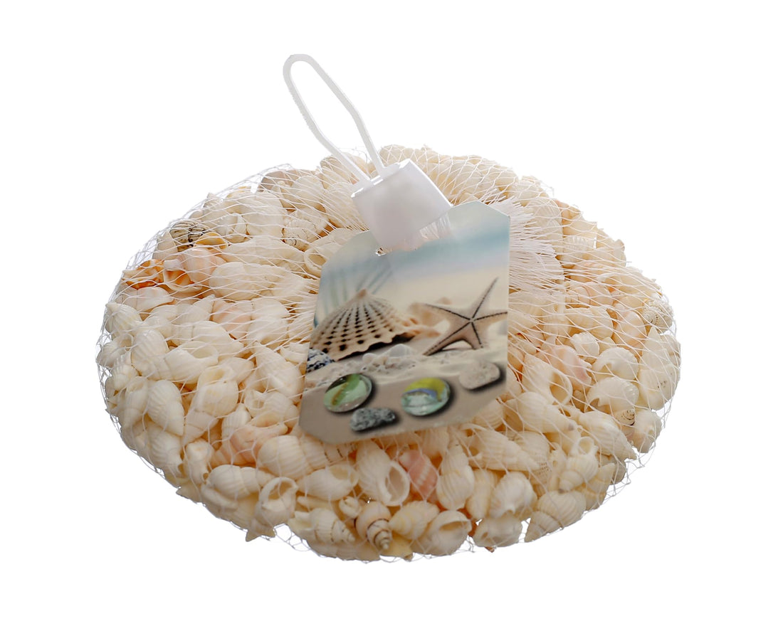 Elmaayergy SEA-11 Decorative Ocean Seashells, Premium Materials Ensure Durability And Professional Finish - Multi Colour