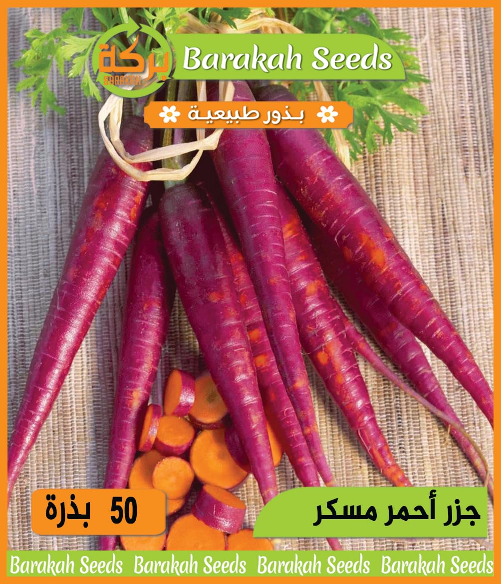 High Germination Vegetable Seeds for Plant (Candied Red Carrot, Organic, 1)