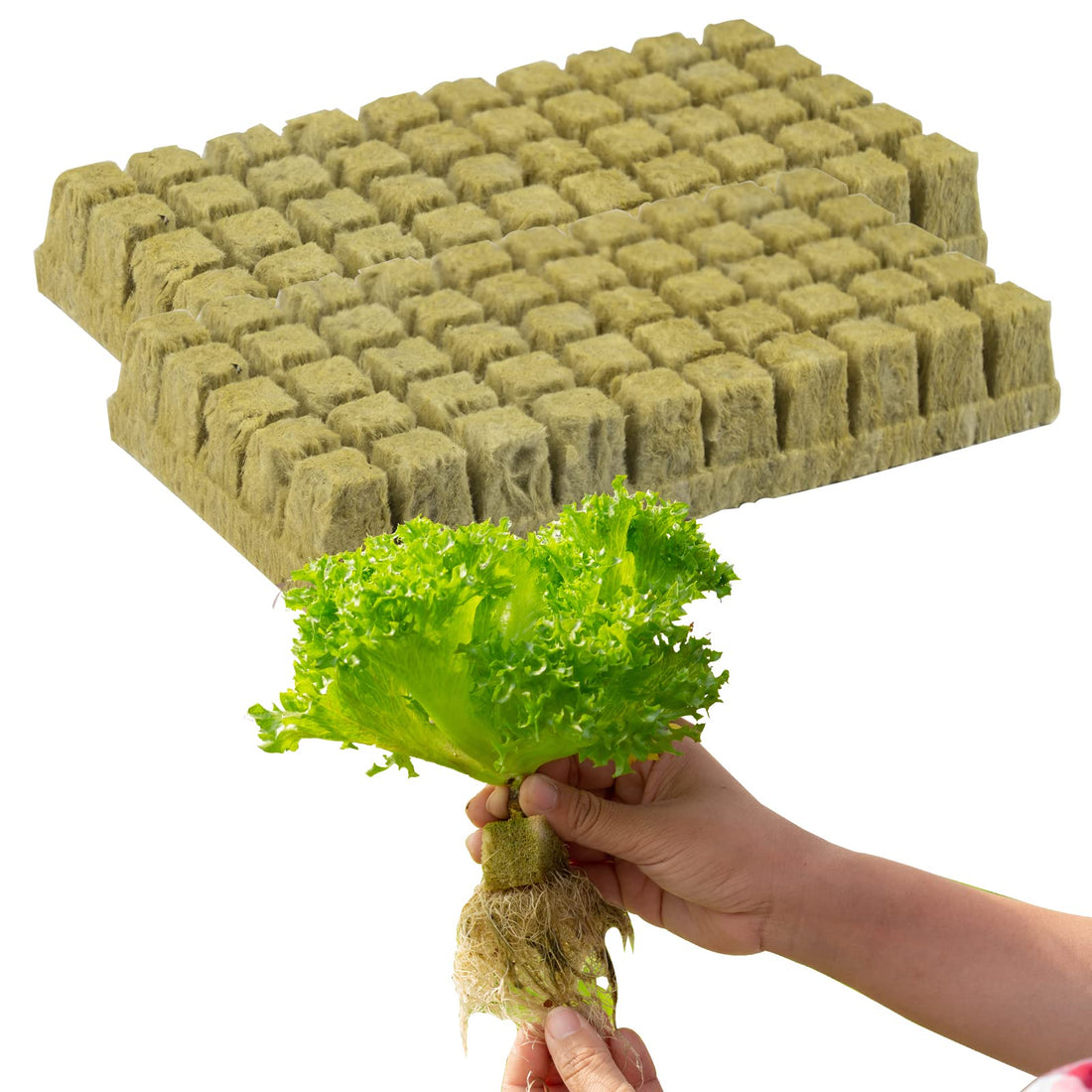 100 Pieces Hydroponic Mineral Wool Cubes Soilless Cultivation Grow Cubes Growing Medium Starter Sheets