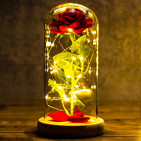 Day Beauty and the Beast Rose - Birthday Gift for Women, Mum, Grandma, Nana, Daughter, Wife - Eternal Rose Flower in Glass Dome With Light for Wedding Anniversary