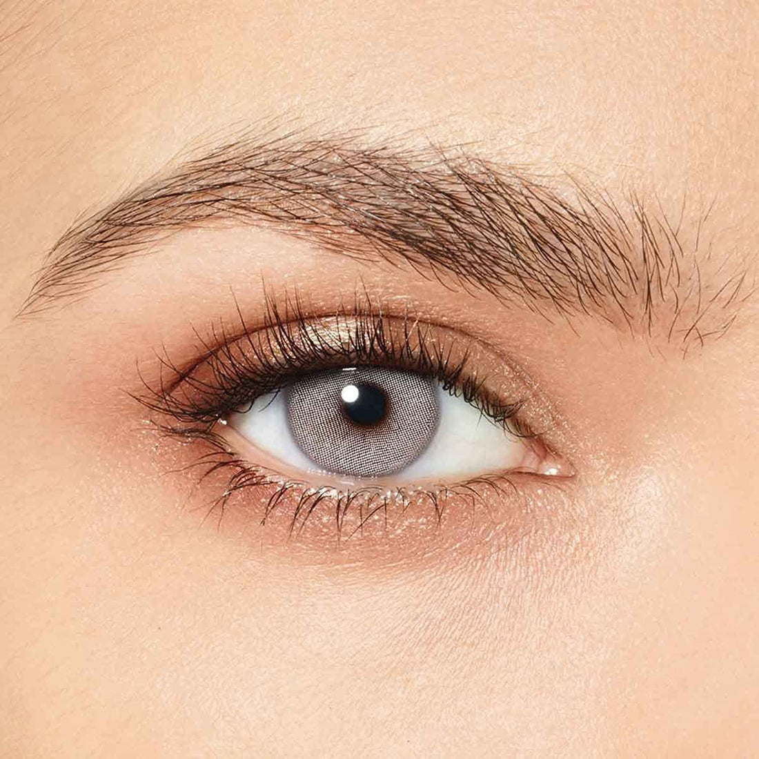 Desio attitude one day color contact lens rebel grey
