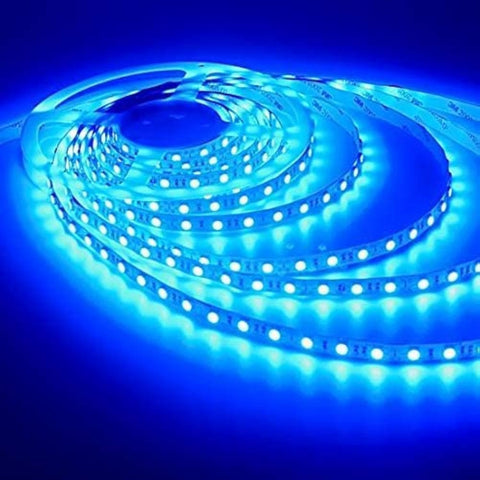 LED Strip Light Blue 5M 5050 Waterproof 220V