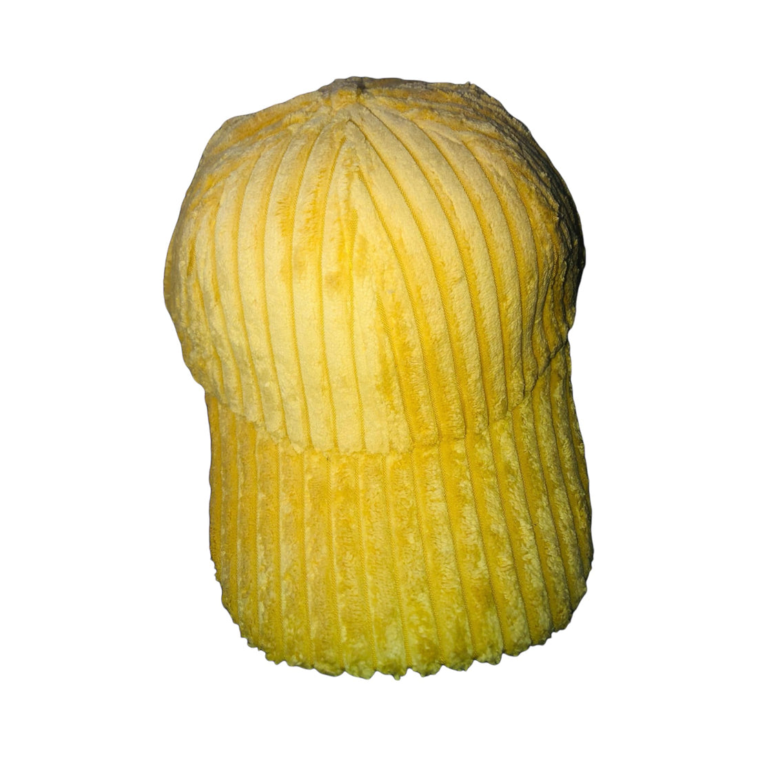 Organic Yellow Squash, Large Size