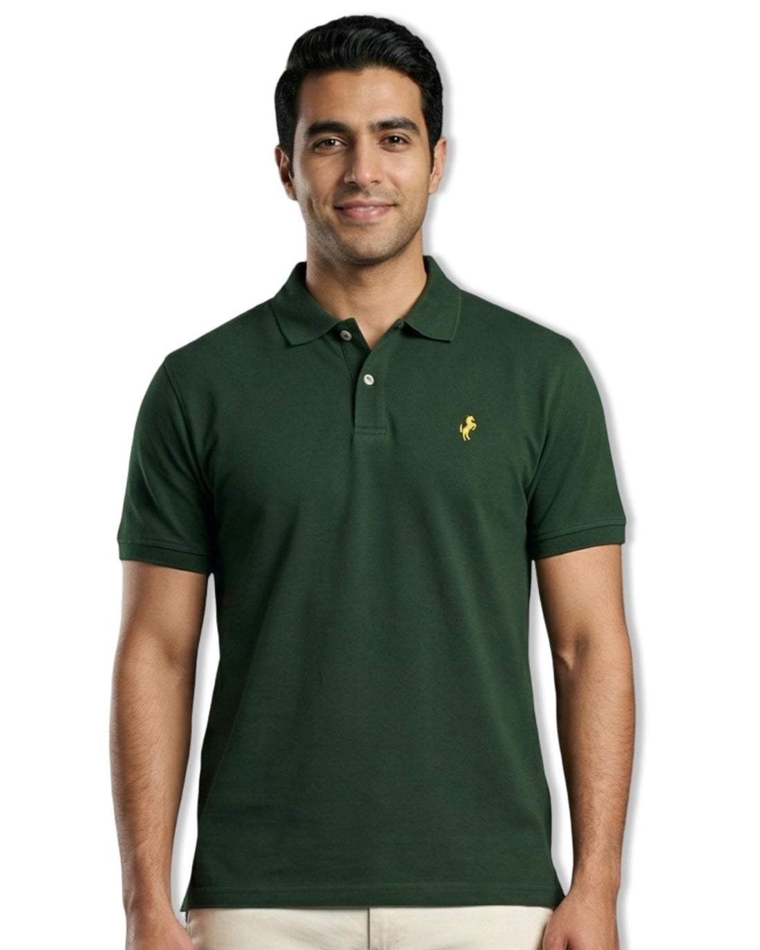 Horse Polo