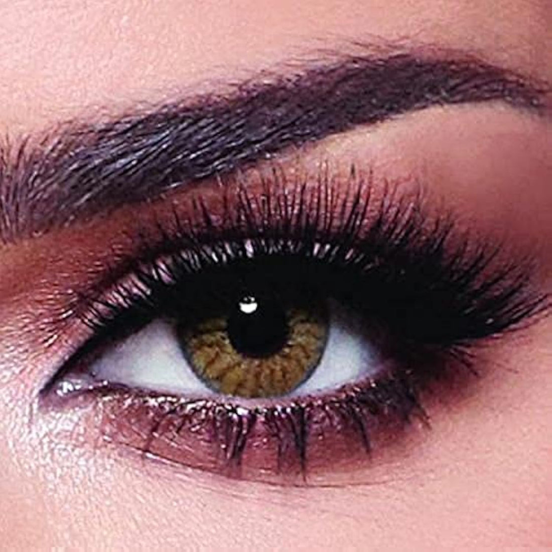 Bella Colored Lenses - Daily - Radiant Hazelnut