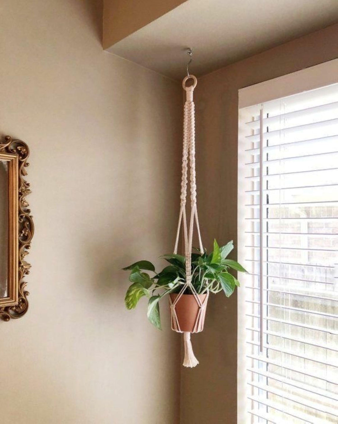 MacrameStore - Plant Hanger - عليقة زرع