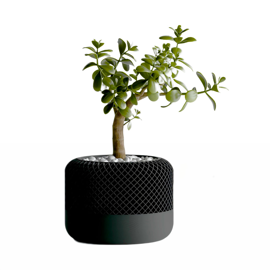 Home Pod Style Plant Pot and Vase, 3D Printed Succulent Planter, Indoor Desktop Decor, Modern Geometric Flower Pot with Drainage (Round_Black)