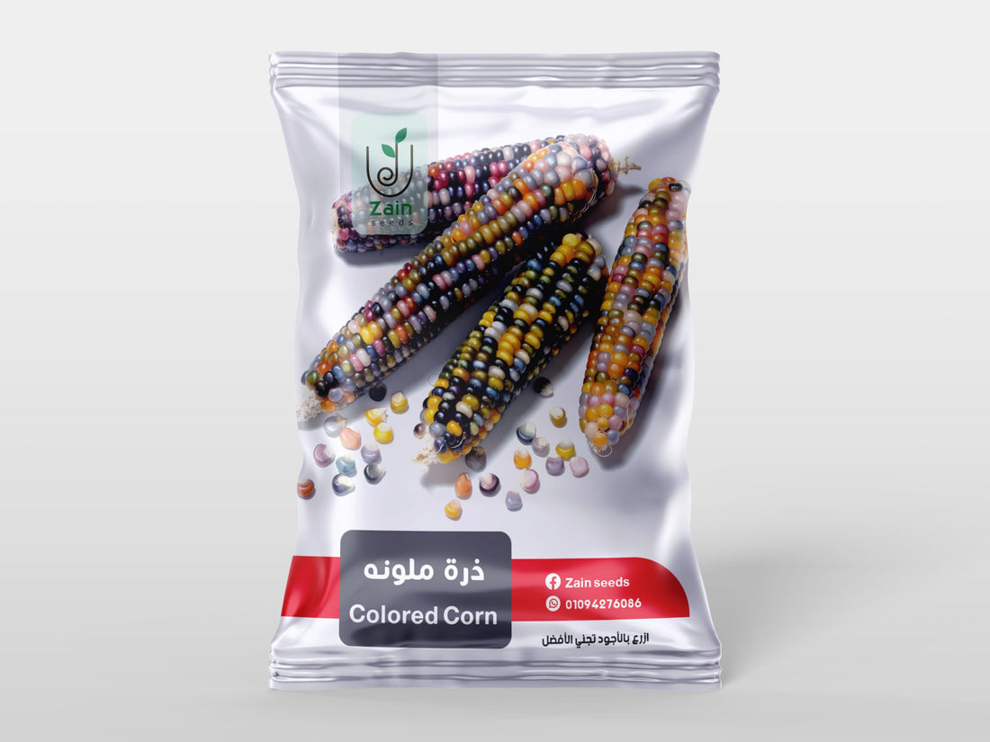 بذور الذرة الملونه من زين سيدز عدد 20 بذره