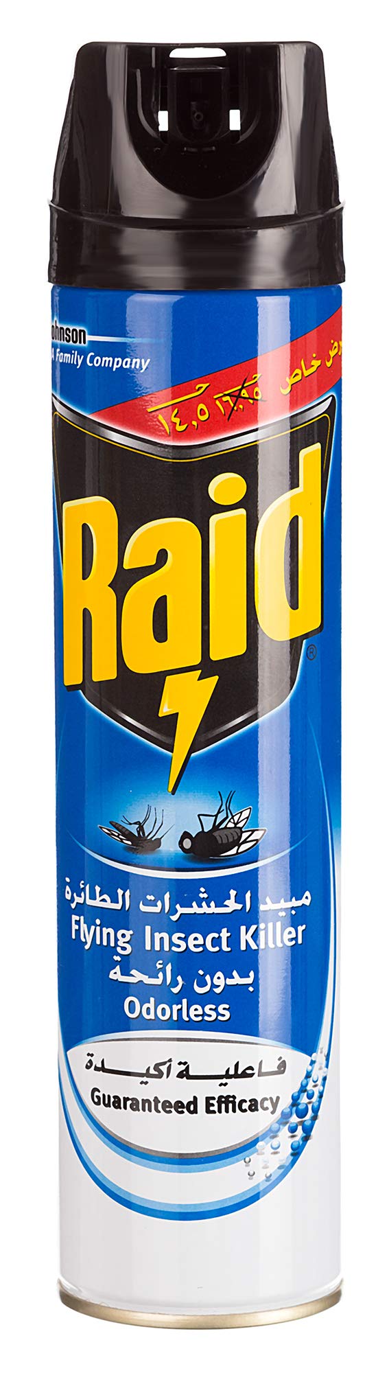 Raid