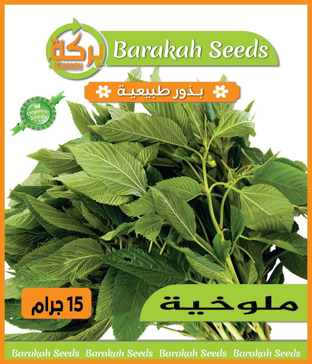 High Germination Vegetable Seeds (Molokhia, Organic, 1)
