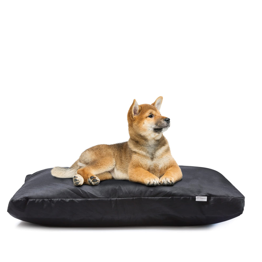Flowen Dog Bed Washable Dog Cushion Small and Medium Dog Cat Bed Waterproof with Removable Outer Cover Anti-Bite and Anti-Scratch Dog Mat 75 x 50 cm Ideal in Summer and Winter Black