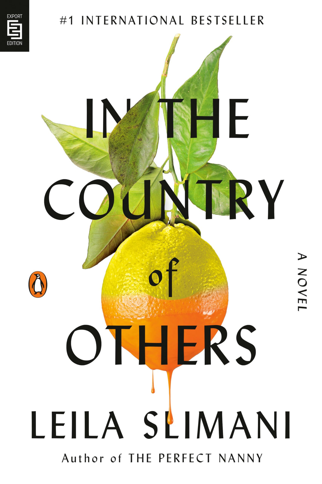 In the Country of Others: A Novel