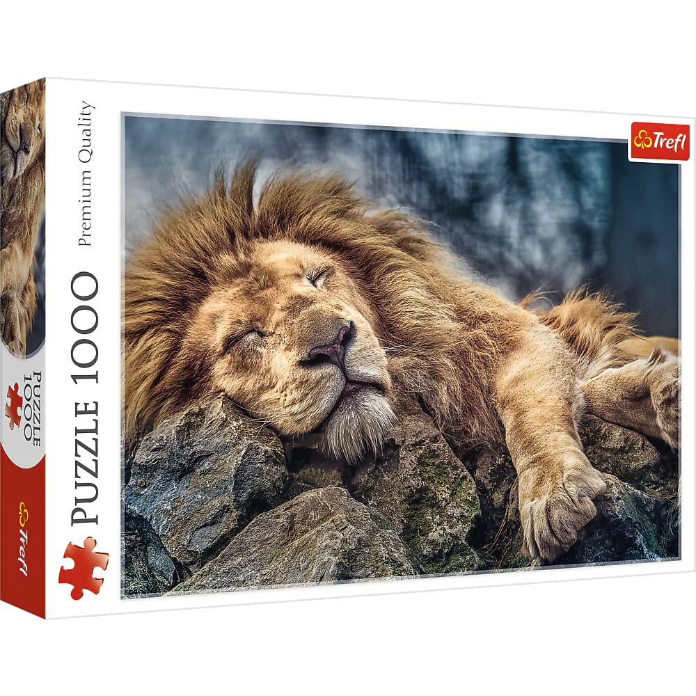 Sleeping lion
