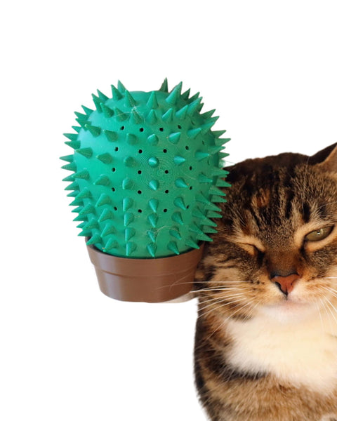 Cactus Cat Self Groomer & Wall Brush - Wall Mounted Face Massager and Scratcher with Hidden Catnip Compartment - Flat and Corner Variations for Indoor Cats (Green) (corner cactus)