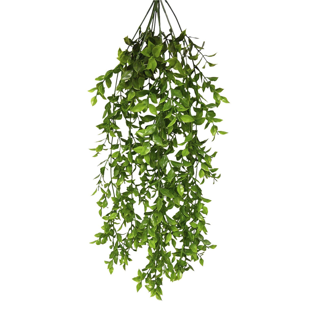 Artificial Plants - 65cm Large Green Ruscus Plant Foliage - Hanging Trailing