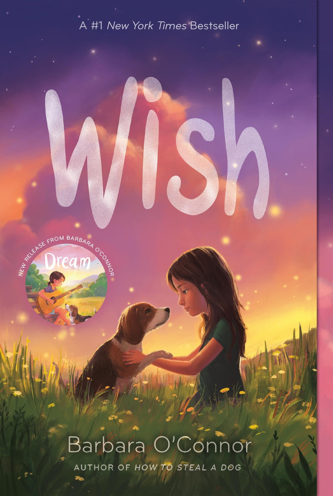 Wish 256 Pages Stories Books