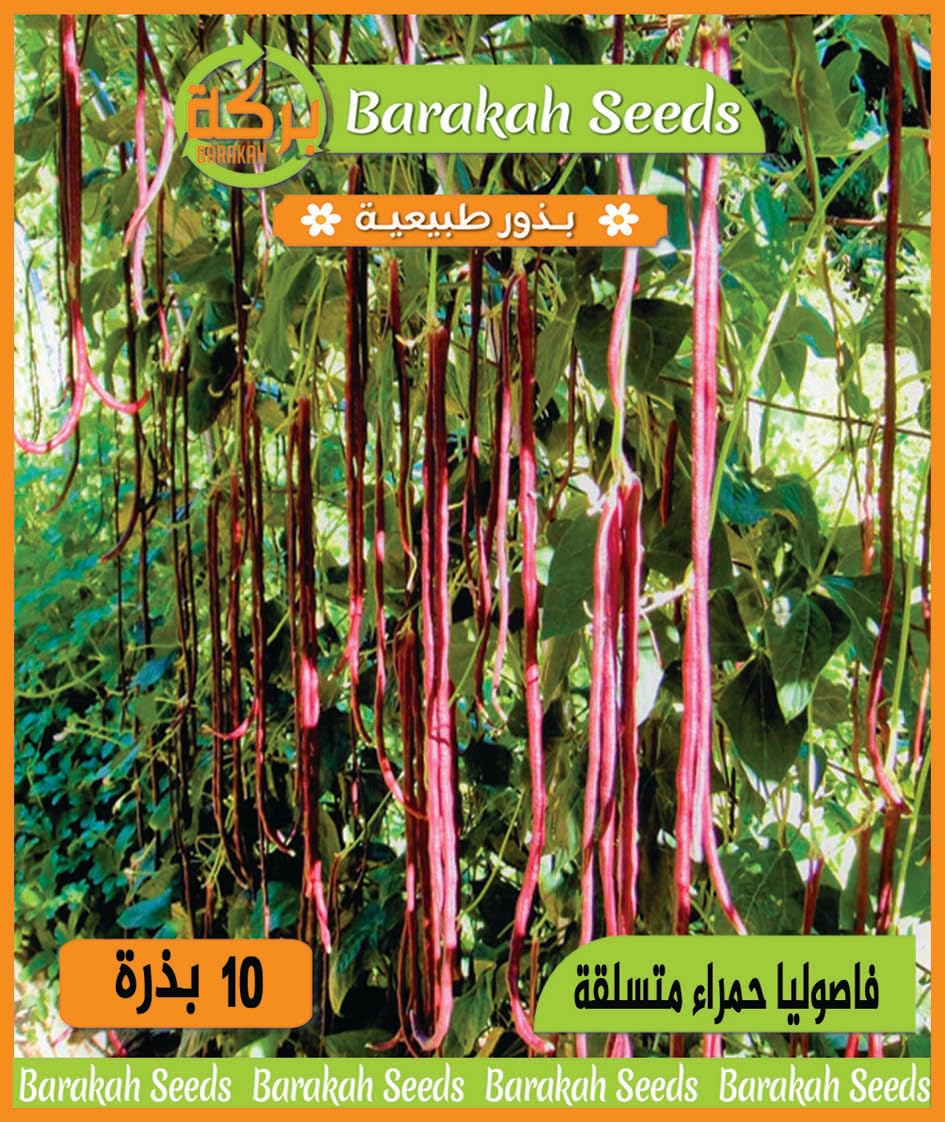 Imported Natural Seeds for Plant (Climbing Red Beans)