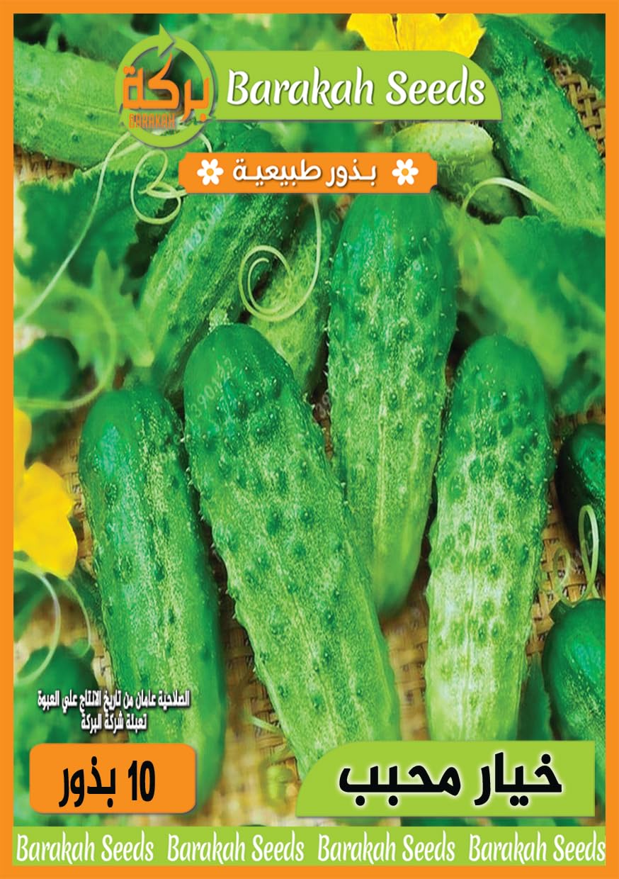 Imported Natural Seeds for Plant (Granulated Cucumber)
