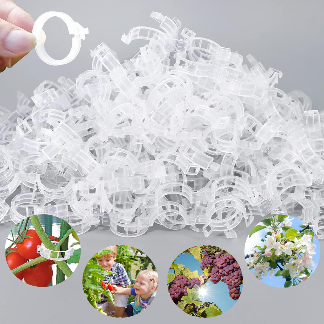 Secured Plastic Plant Clip, 2024 Upgrade Tomato Trellis Clips, Plant Fixing Clips Tomato Clips for Climbing Plants, Plant Support Clips Hanging Plant Tool for Vines Gardening Supplies