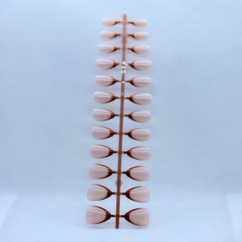Press On Nails Almond Shape with Colored French Tips – 12 Different Colors Salon Finish Fake Nails for Women, Luxury Glossy Look (Pink Base & Brown)