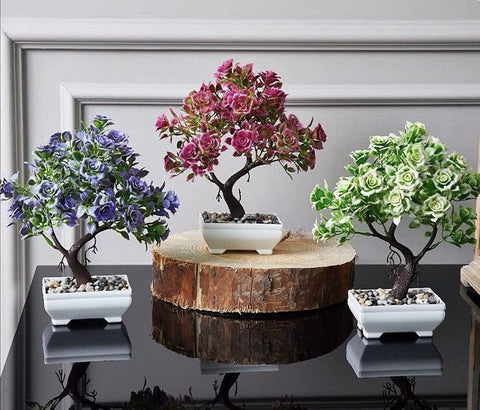 Plant Home Or Office Decor 3 Piece Set - set 3 pieces Planting decor for home, office or garden