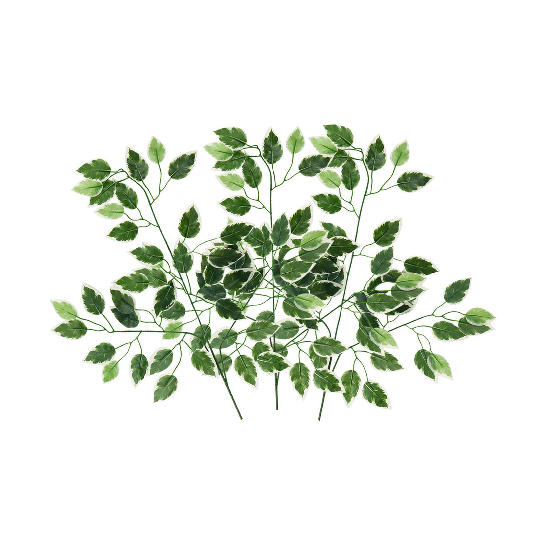 Alment Artificial Ficus Tree Leaves Branches | 3 Pcs Silk Green Leaves Plants for Wreath Benjamina Tree Indoor Outdoor Porch DIY | Wedding Bouquet Party Farmhouse Wall Decor (Green-White)