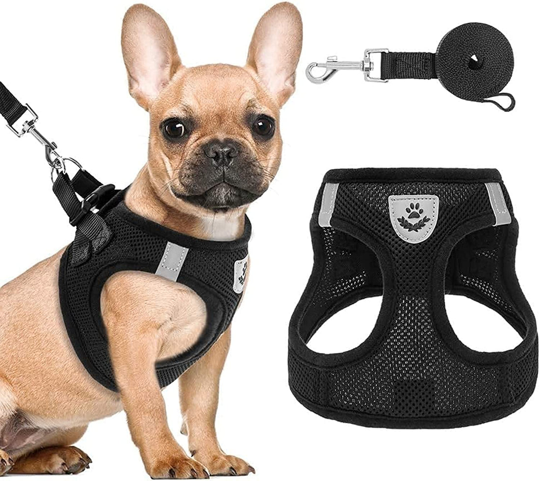 PAWCHIE Puppy Harness and Leash Set - Soft Mesh Dog Vest Harness, Reflective & Adjustable for Small to Medium Dogs, Cats and Puppies