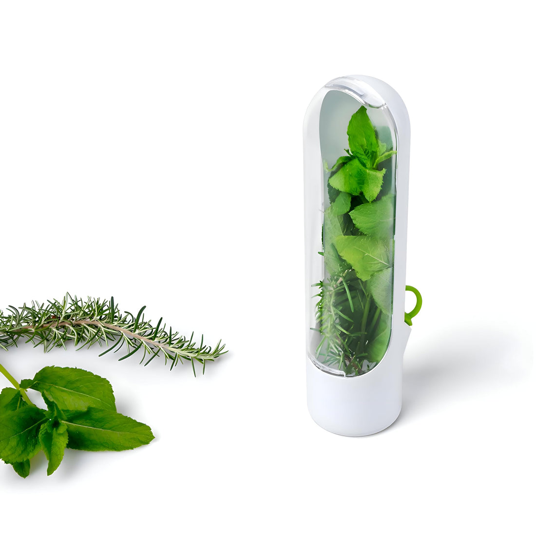Fresh Herb Grow Container for Refrigerator - This Smart Container Helps Keep Aromatic Spices, Thyme and Rosemary, Also Serves as a Natural Permanent Greens (1 Container)