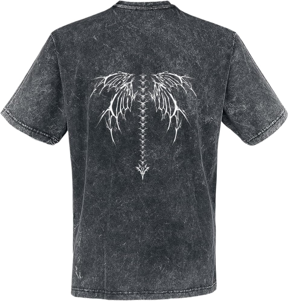 Spine Wings T-shirt washed Back