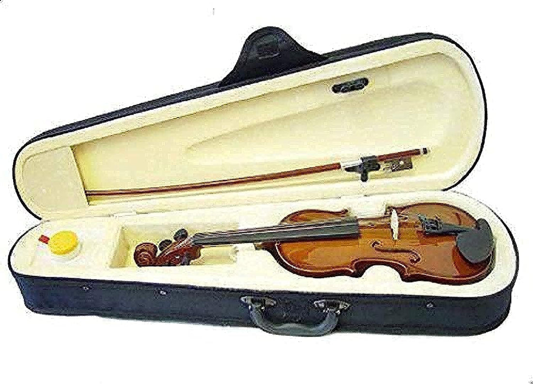 Generic 4/4 Full Size Violin with Maple Back and Spruce Top, Includes Bow, Rosin, and Case