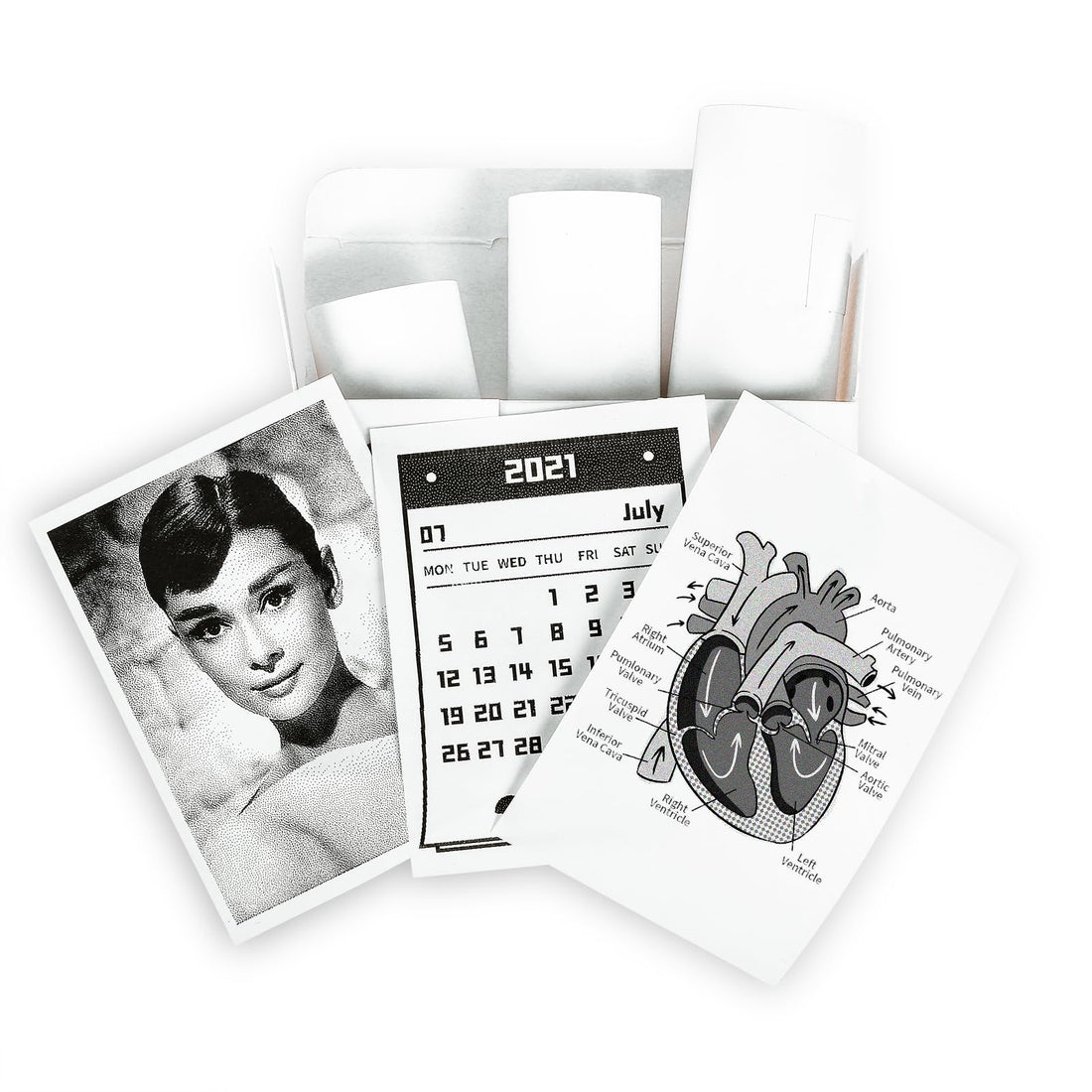 Beauty beastT02/M02X/M02L White Thermal Paper-10-Year Non-Sticky 53mmx6.5m for Journal Photo Texts Study Notes and More, 3 Rolls (White, 53mm*6.5m)