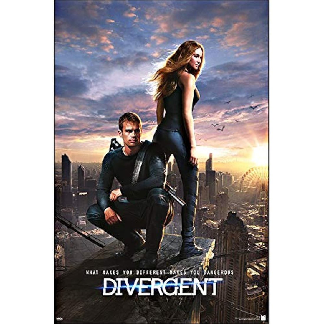 Divergent One Sheet Maxi Poster